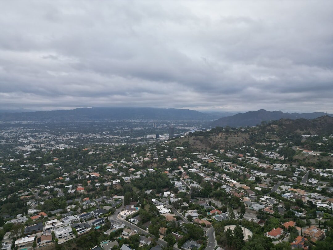 hollywood hills view