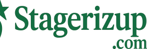 Stagerizup.com logotipas